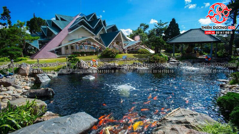 la phong hostel da lat