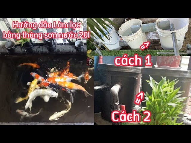 Làm Lọc Hồ Cá Koi Bằng Thùng Sơn: Hướng Dẫn Chi Tiết