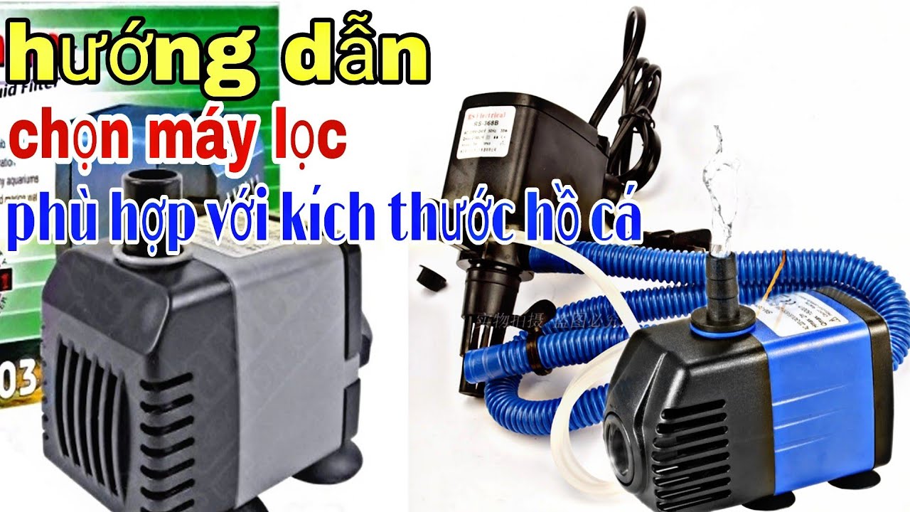 Lọc bể Koi 60x30x30: Hướng dẫn chọn lọc phù hợp