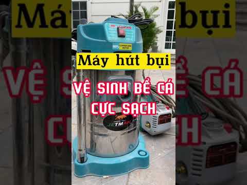 Máy hút cặn hồ cá koi: Bí quyết hồ cá sạch đẹp