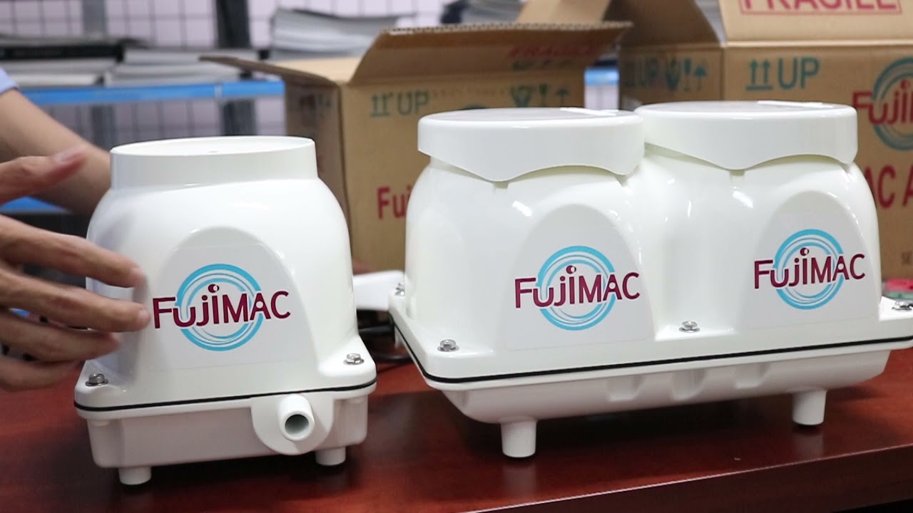 Máy tạo oxy Fujimac cho hồ cá Koi: Hướng dẫn chọn và sử dụng