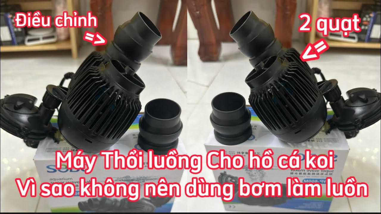 Máy thổi luồng 2 khối hồ cá koi: Bí quyết chọn mua và sử dụng hiệu quả