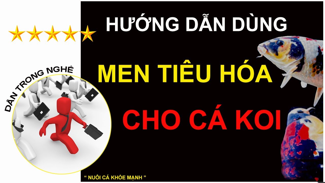 Men tiêu hóa cho cá Koi: Bí quyết cho hệ tiêu hóa khỏe mạnh