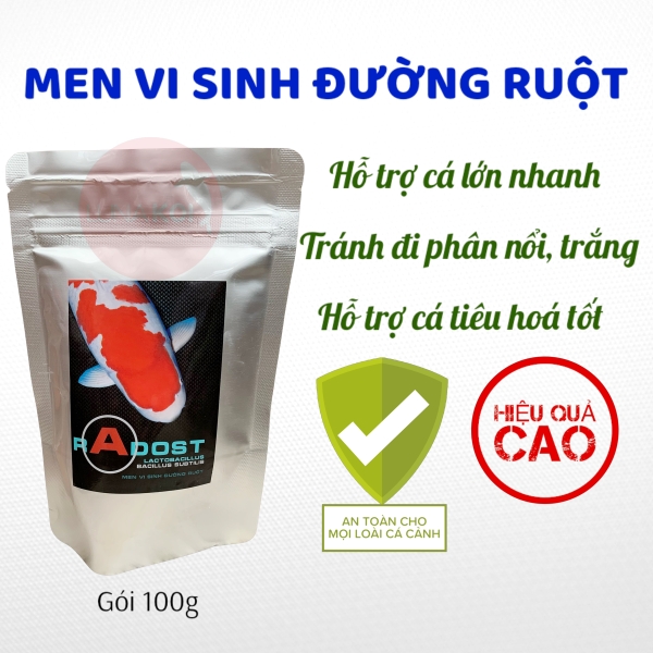 radost men vi sinh duong ruot ca koi canh