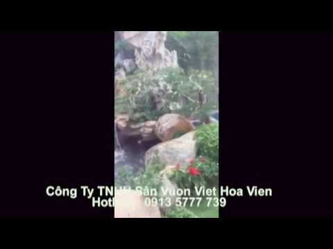 Thi công hồ cá Koi Vũng Tàu: Từ A đến Z