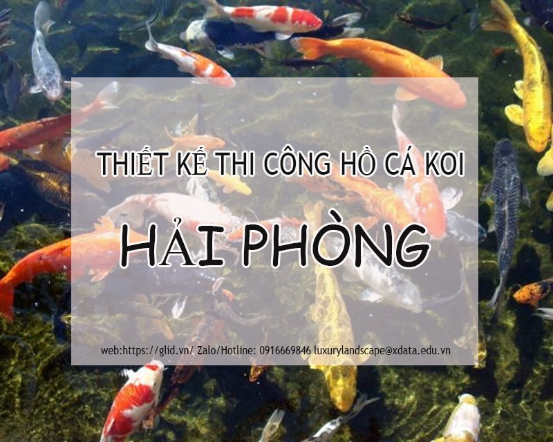 thiet ke ho koi hai phong