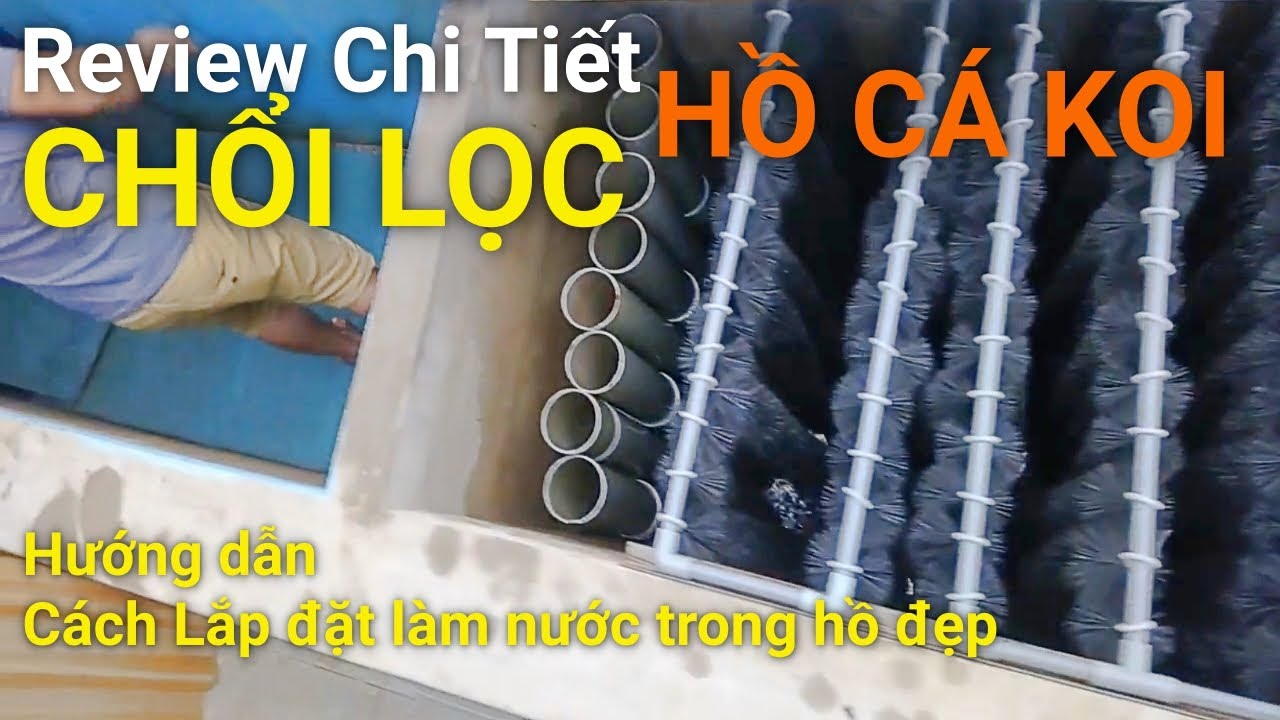 Thiết kế & thi công hồ cá Koi chuyên nghiệp