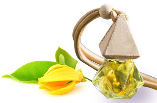Tinh dầu hoa ngọc lan tây dịu nhẹ cho xe
