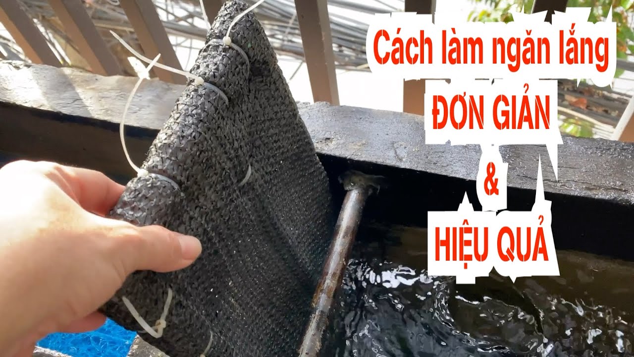 Tính Ngang Lắng Bể Cá Koi: Hướng Dẫn Chi Tiết