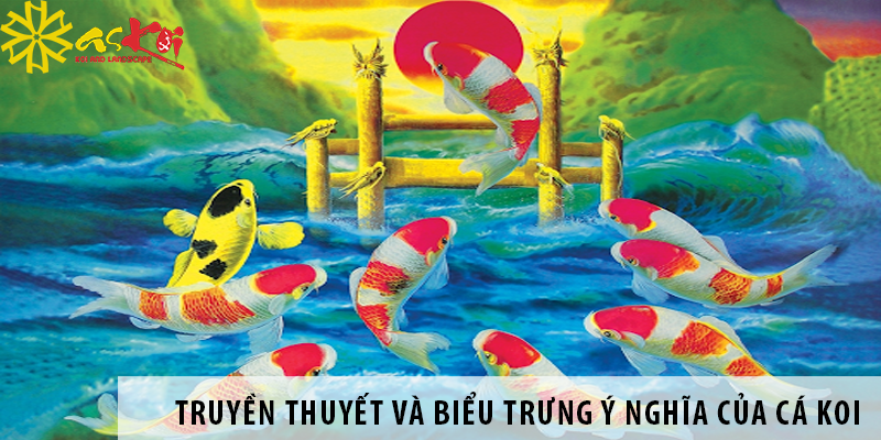 truyen thuyet ca koi 4