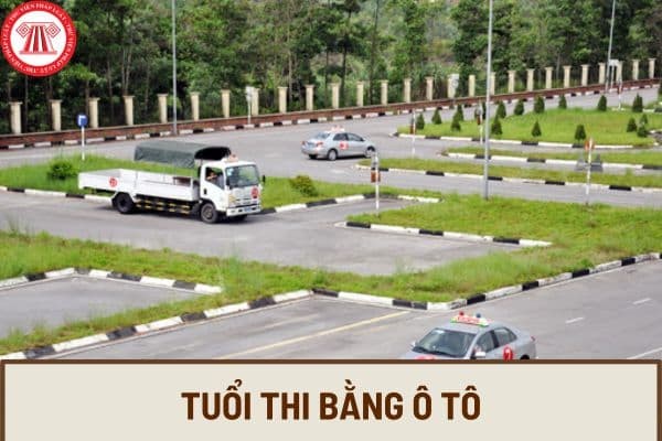 Hình ảnh minh họa độ tuổi và các hạng bằng lái xe ô tô