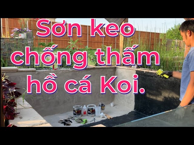 Vật liệu chống thấm hồ cá Koi: Lựa chọn & thi công hiệu quả