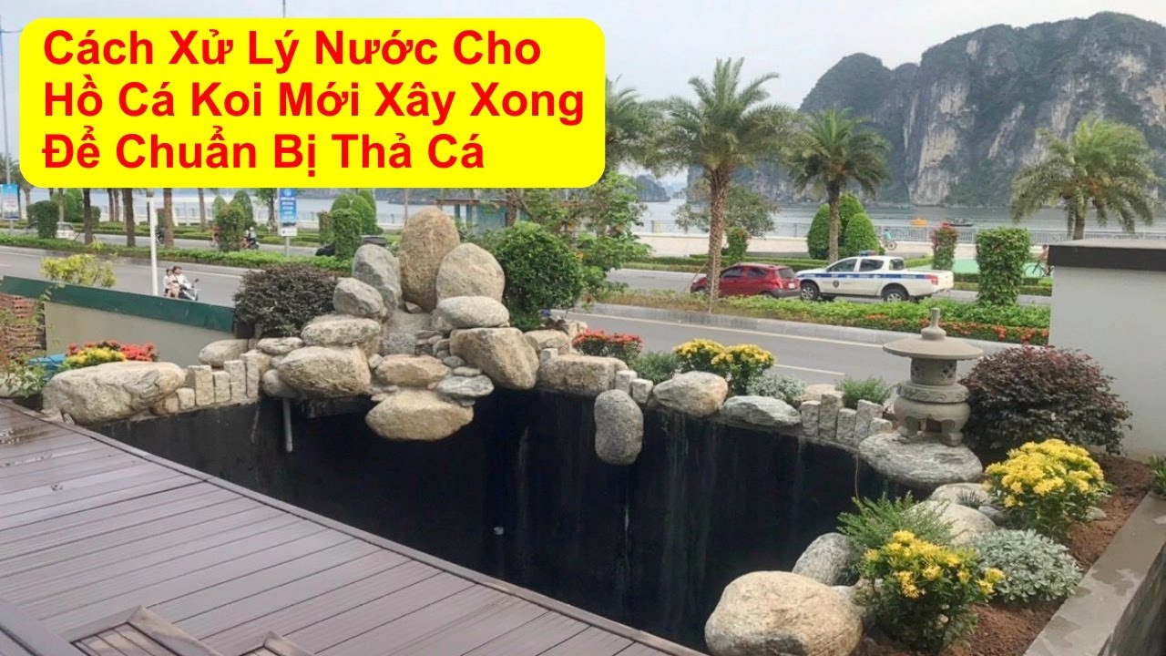 Xử lý nước hồ cá koi mới xây: Bí quyết cho hồ cá trong veo